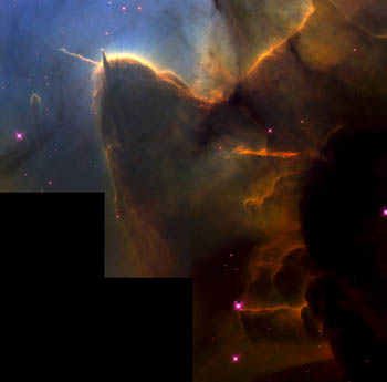 Trifid