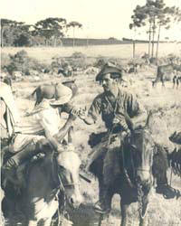 Tropeiros - Foto de tropeiros em Ponta Grossa no incio do sculo XX, onde destaca-se a vegetao tpica da regio dos Campos Gerais. (clique para ampliar)