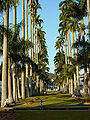 Park Scene - Joinville - Brazil.jpg