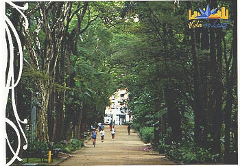 PARQUE DO PIQUERI - TATUAPÉ - Um dos mais charmosos parques da cidade, o Piqueri surgiu da antiga chácara do conde Francisco Matarazzo, um dos maiores industriais da história da cidade. Situada junto à foz do ribeirão do Tatuapé, constituía-se de uma casa sede, pomar, granja, área para criação de diversos animais, além de uma fábrica de queijos e uma área destinada às Indústrias Matarazzo. Foto: Fabio Nunes